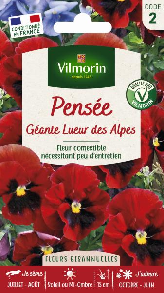 Fleurs - Pensée Géante Lueur des Alpes - PACKAGING_RECTO